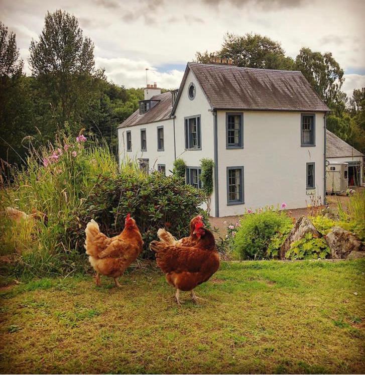 Bedrule Old Manse B&B Hawick Zewnętrze zdjęcie